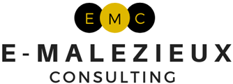 E-Malezieux Consulting Auvergne : Management opérationnel des situations de travail 